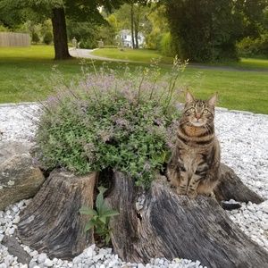 Meet your Posher, Miamah